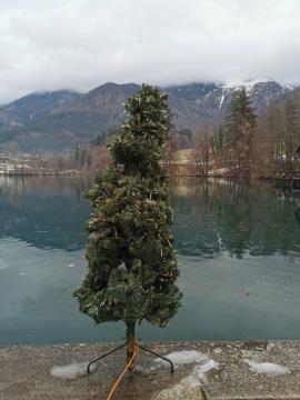 Potop drevesca Foto Som (2)